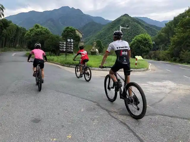 冠军竞走王萍是谁_王萍竞走冠军_冠军竞走王萍视频