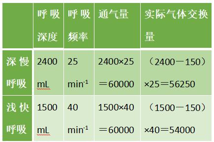 马拉松 铃木清和_铃木亚由子马拉松_日本铃木马拉松