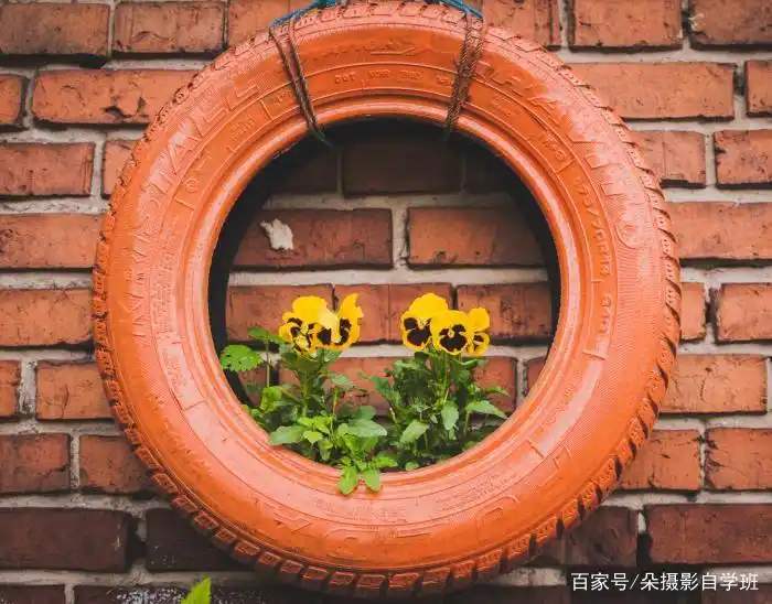 如何拍摄生活照_拍生活照技巧_趣拍生活技巧
