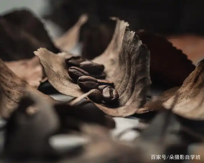 拍生活照技巧_如何拍摄生活照_趣拍生活技巧