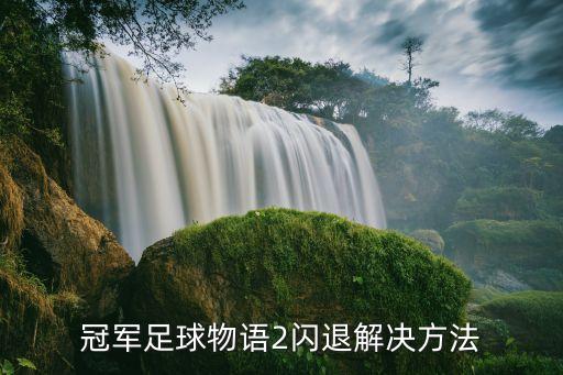冠军足球物语2闪退解决方法